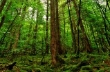 ARIYA艾睿雅最高降6.0万 现车充足