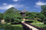 奇骏 全部在售 2023款 2022款 2021款 2020款 2019款 2017款