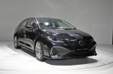 亚洲狮 全部在售 2022款 2021款